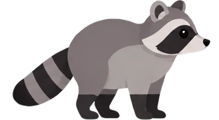 Raccoon