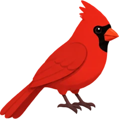 Northern Cardinal
