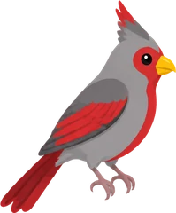 Pyrrhuloxia