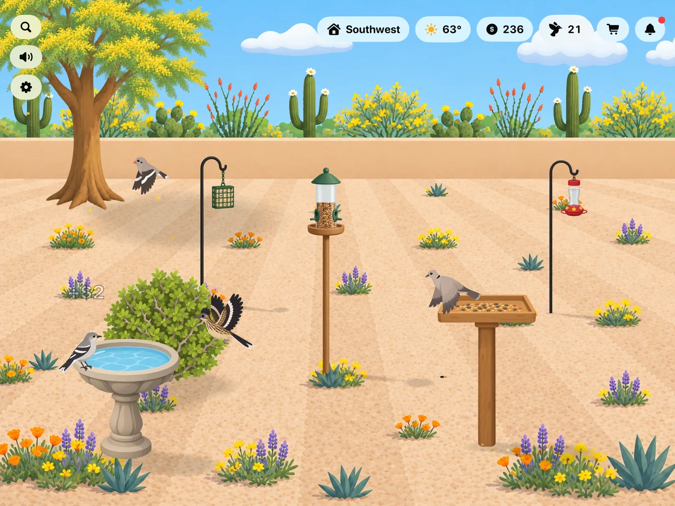 A Southwest yard with the desert in bloom
