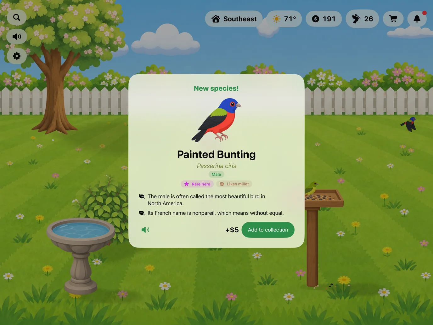 A card for a Painted Bunting seen for the first time